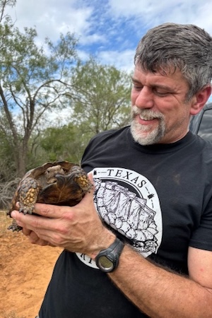 Carl Franklin examines one of the Texas Tortoises at their South Texas study site